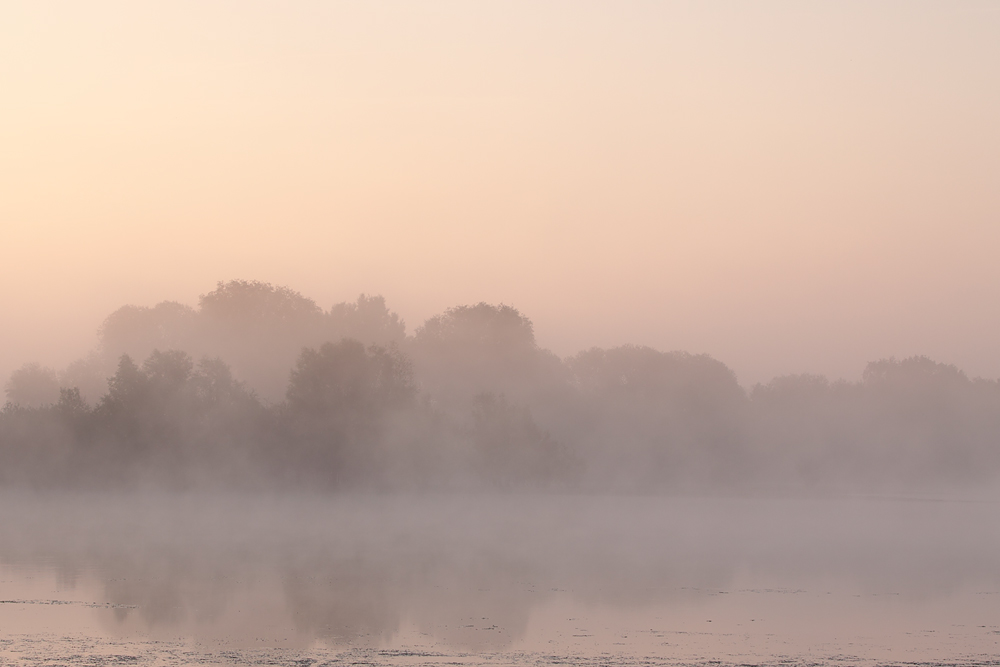 Nebelmorgen
