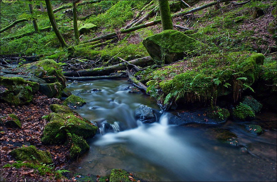 " Wasserfarben "