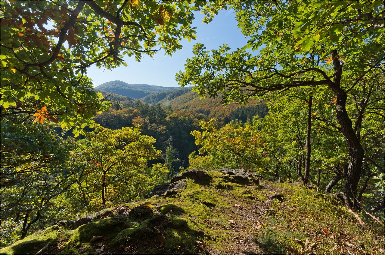 Der Herbst ist angekommen