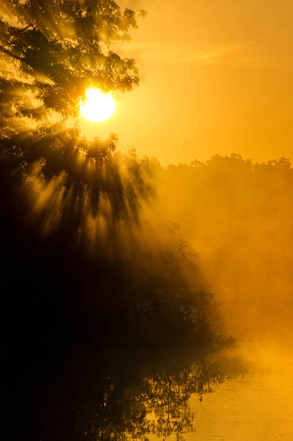 Herbstnebel