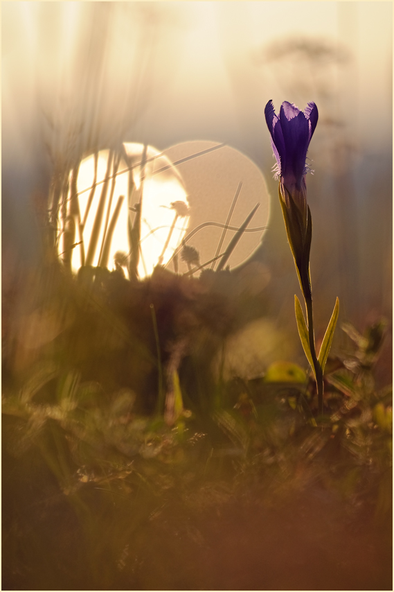 Licht  im Dunkel