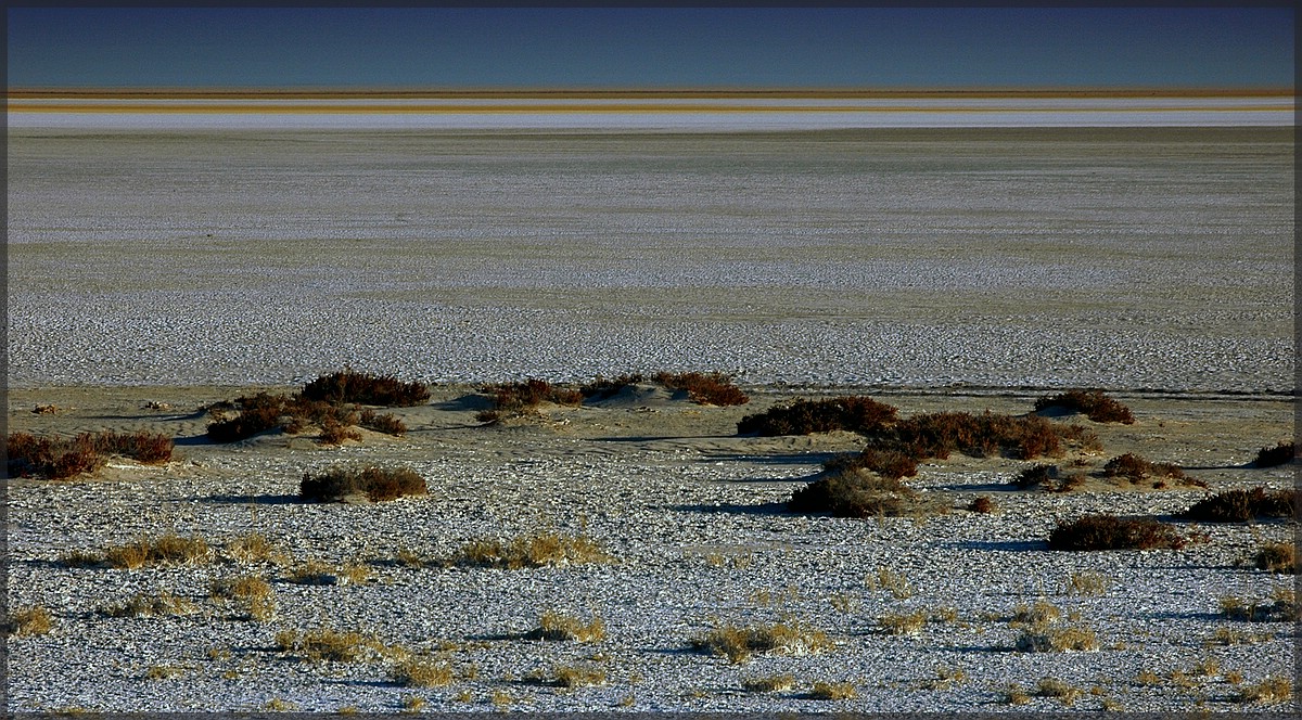 Etosha Pfanne - Namibia