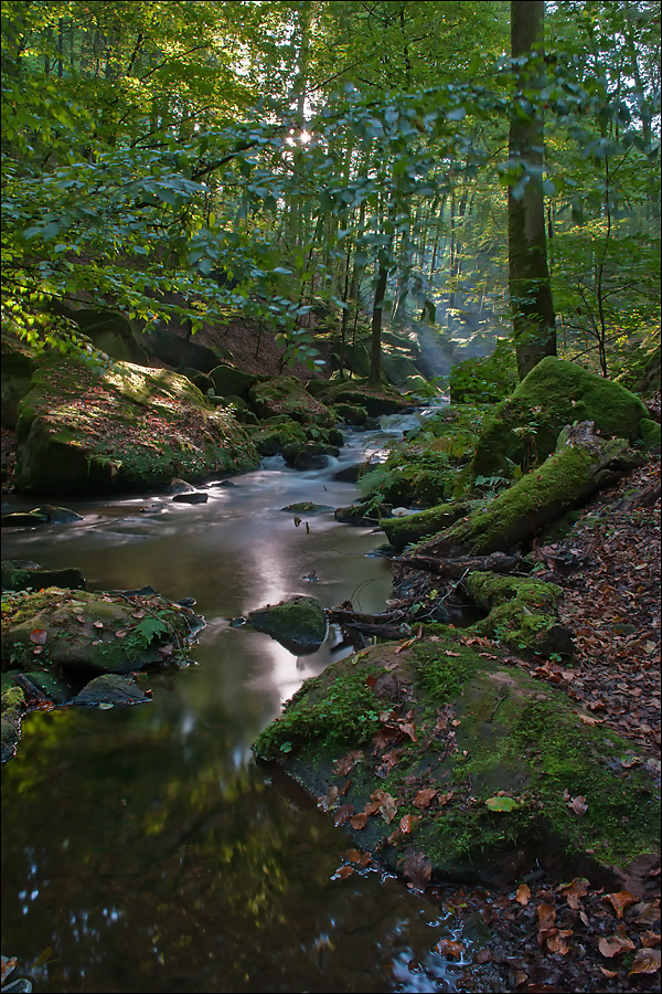 " Schimmernde Schatten"