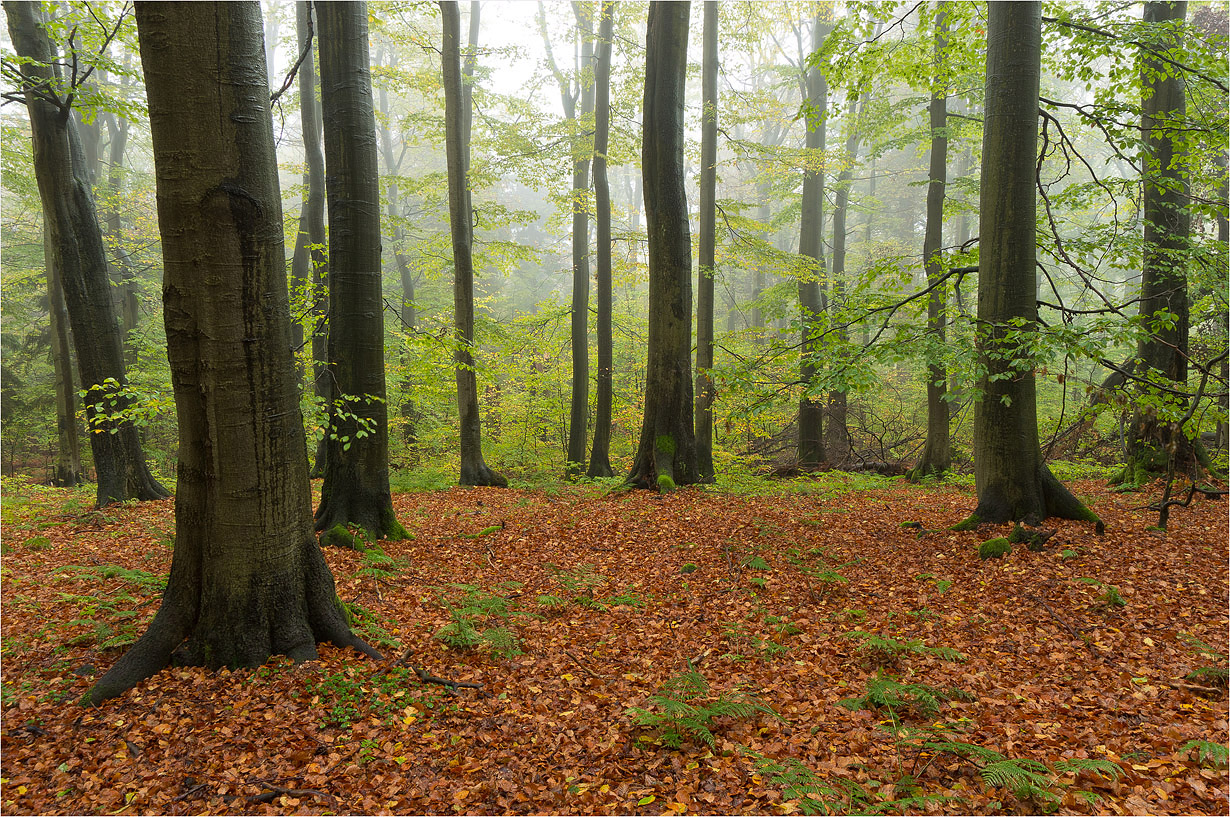 Und plötzlich ist Herbst