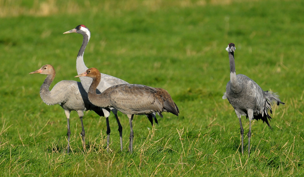 Am Bodden 2