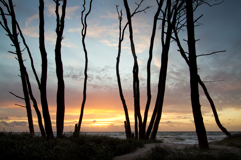 Weststrand am Darß