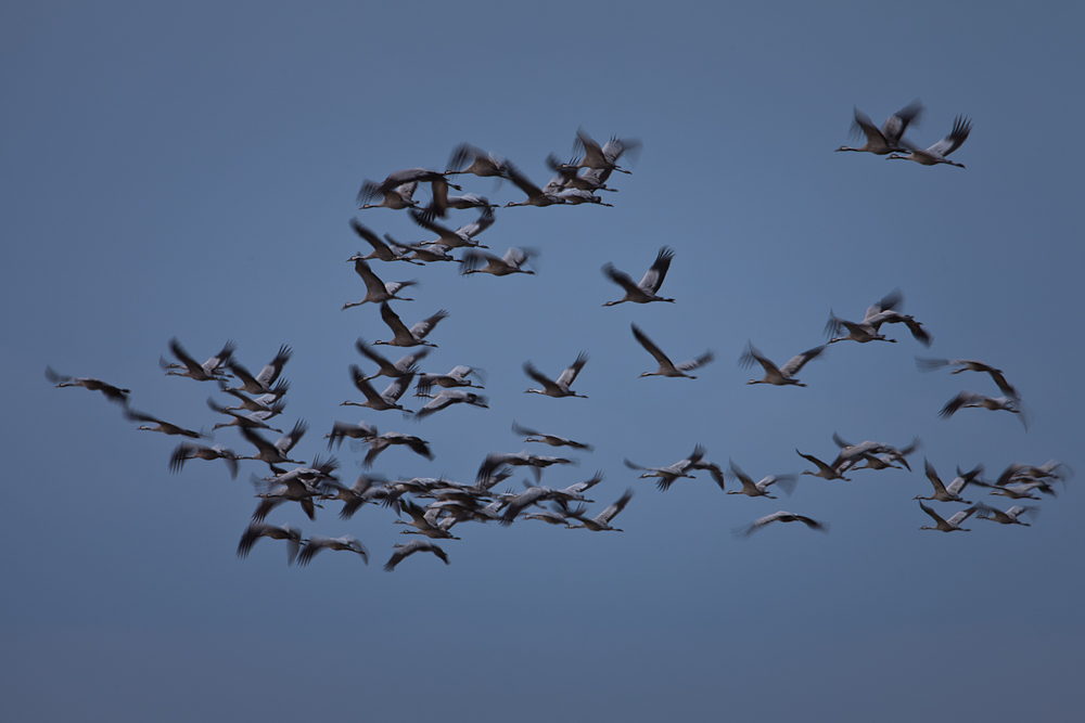 Abflug