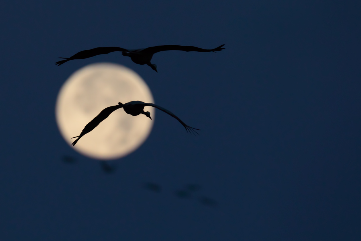 Flug zum Mond