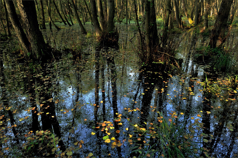 - Spiegelungen -