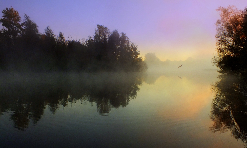 Herbstliches Erwachen