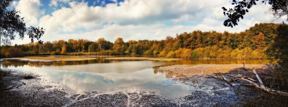 Weingartener Moor