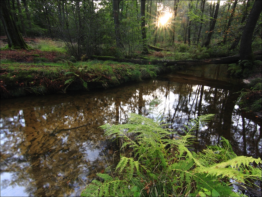 Sonnenuntergang im Rotbachtal