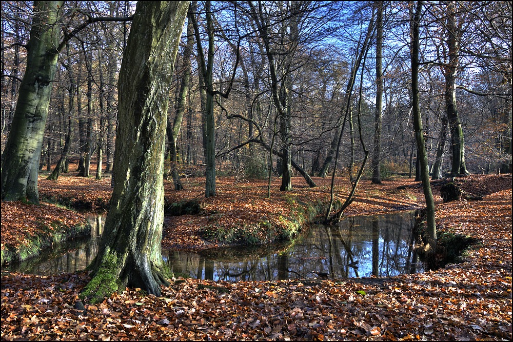 Rotbachtal Pseudo-HDR