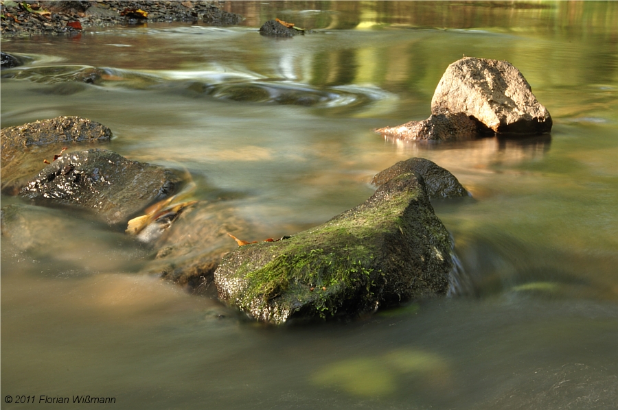 Der Bach (Forum für Naturfotografen)