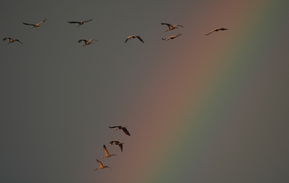 Vorm Regenbogen