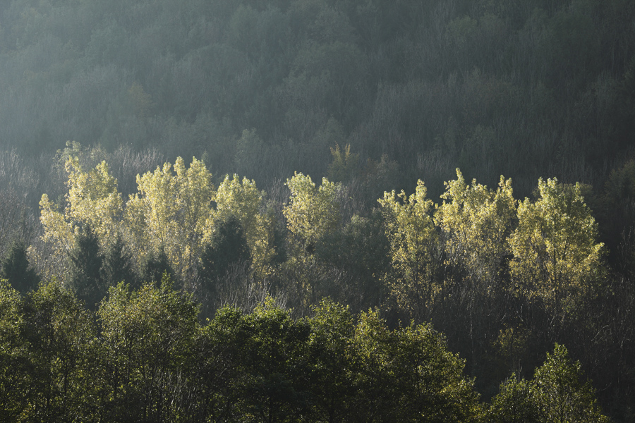 Bavarian Fall Colors