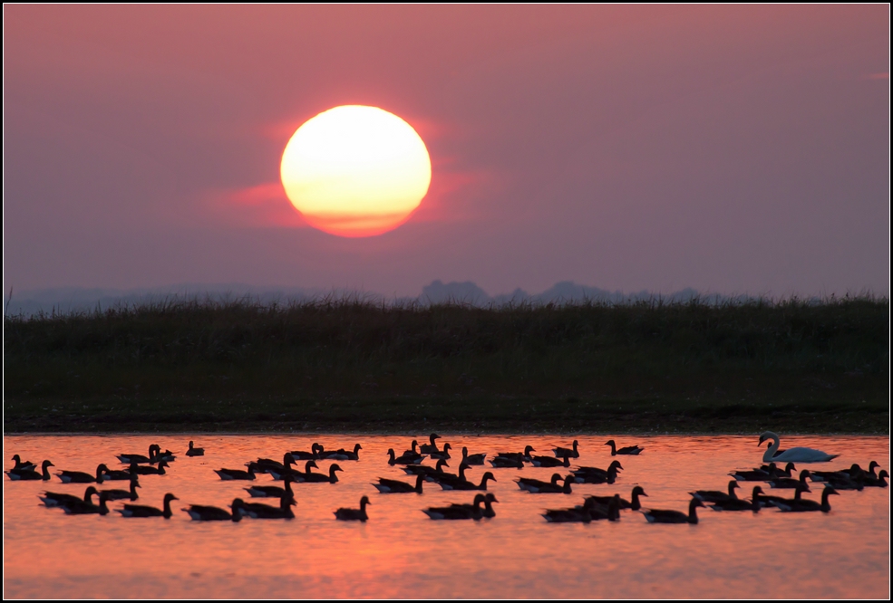 Sonnenuntergang Geltinger Birk