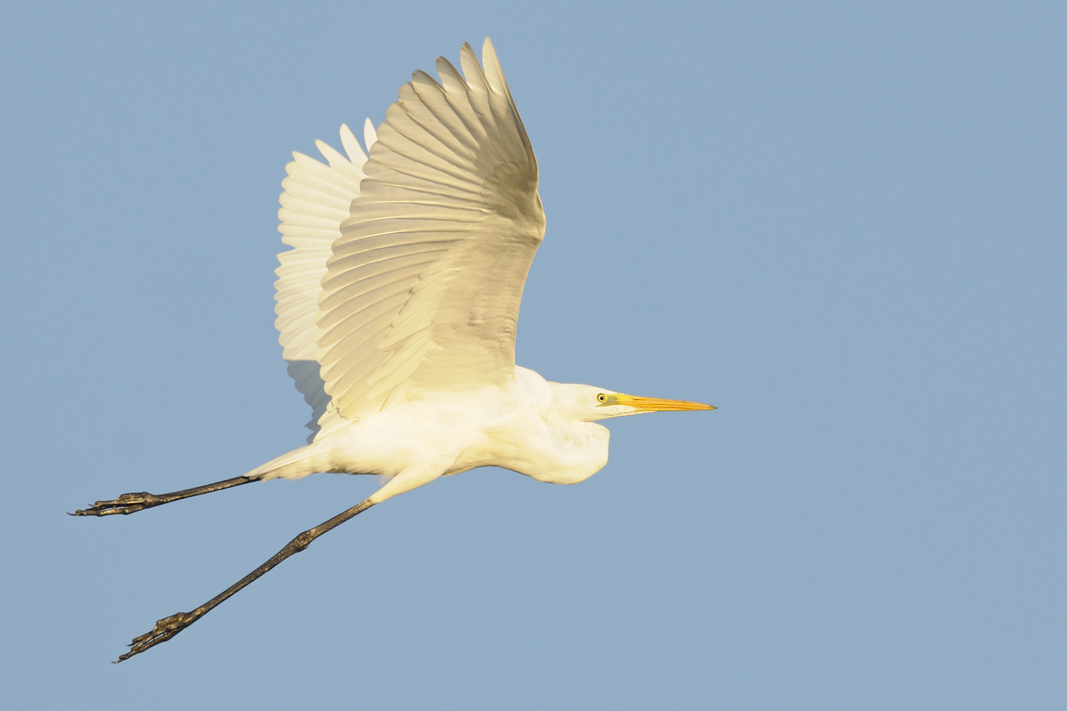 Flugbild