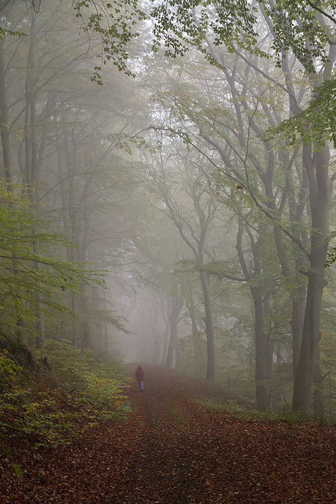 Herbstspaziergang