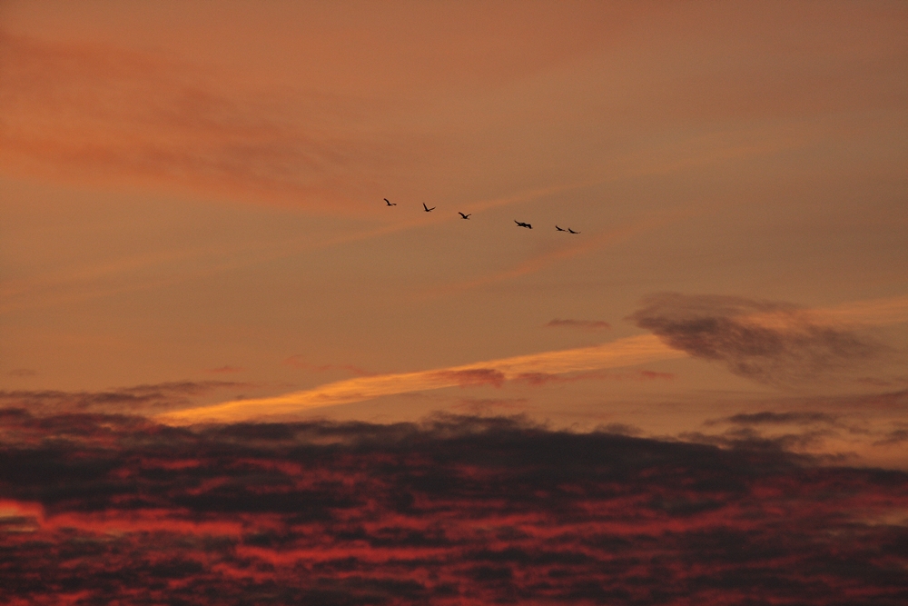 "Himmel und Hölle"