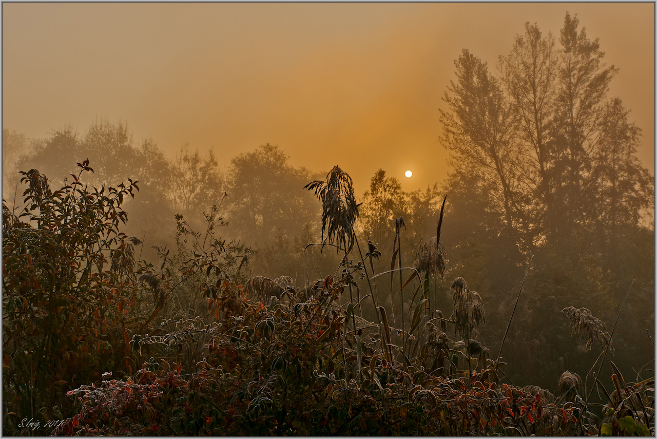 Herbstsonne