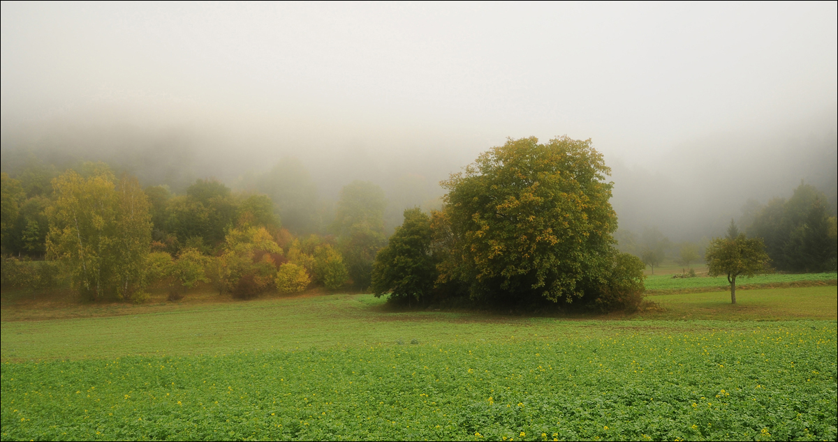 Landschaft im Morgennebel