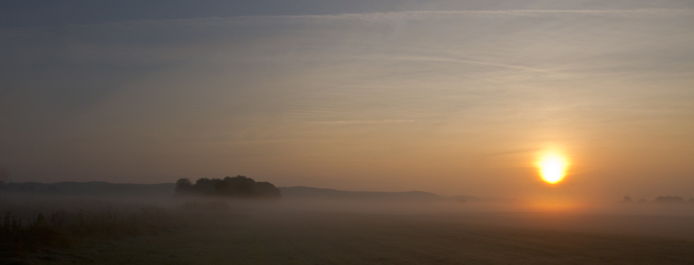 Morgens an der Elbe