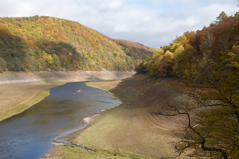 herbstlicher Wald am Edersee