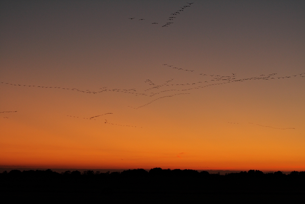 Hinterm Horizont