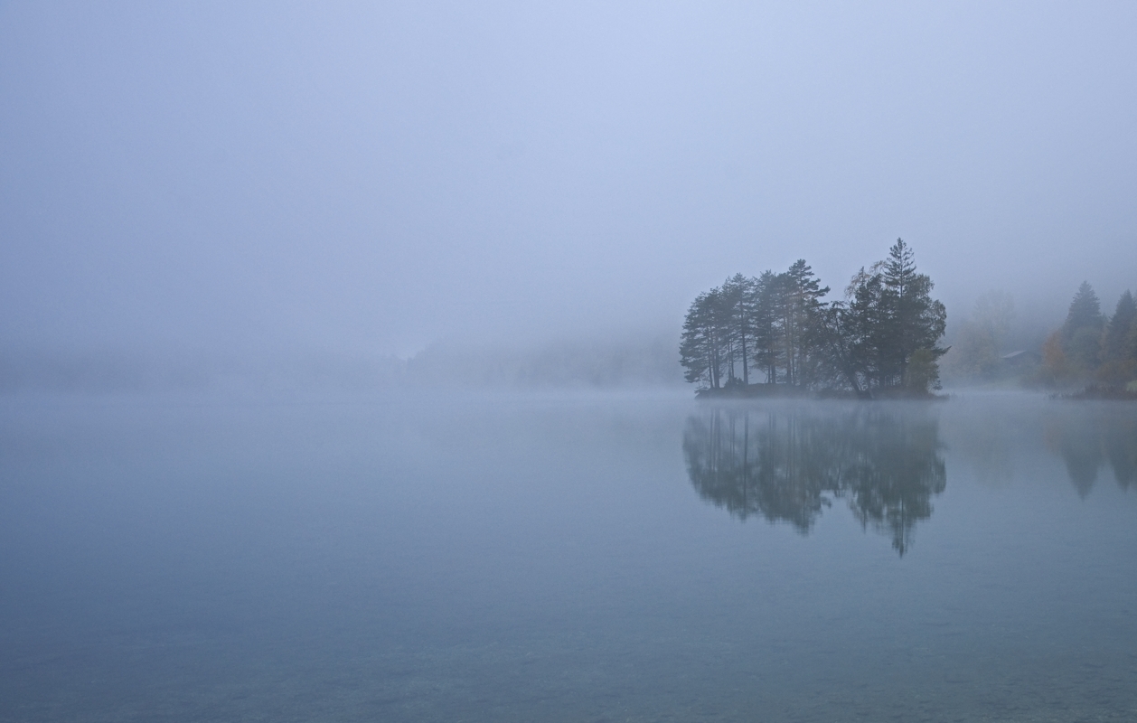 Morgennebel