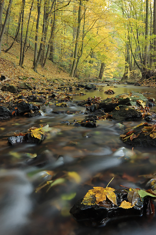 herbstlich..