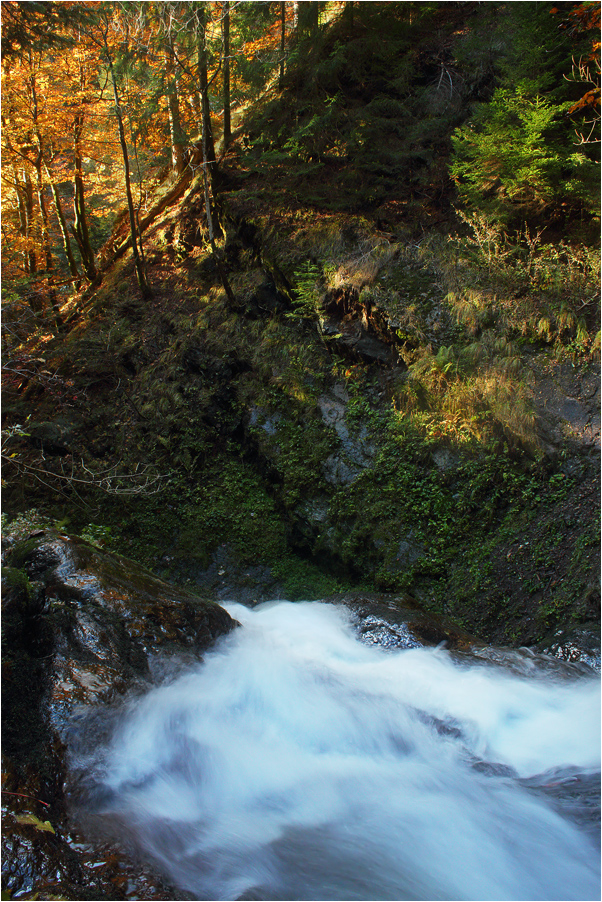 Ravennaschlucht