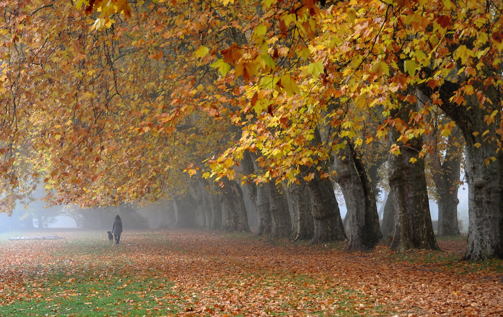 Herbsttag