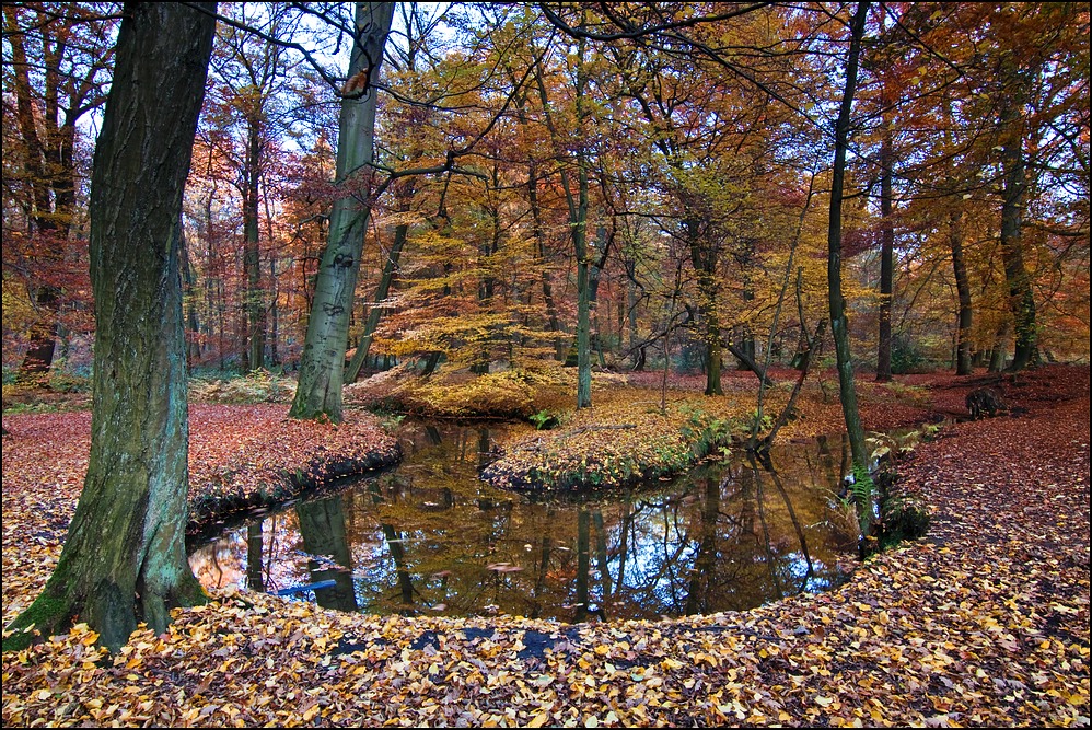 herbstlicher Rotbach