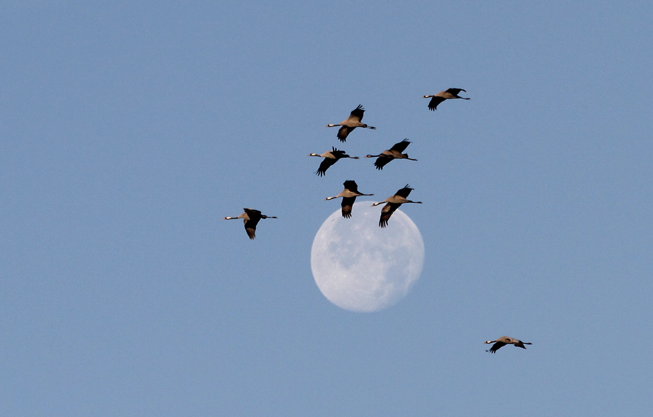 Vorbeiflug