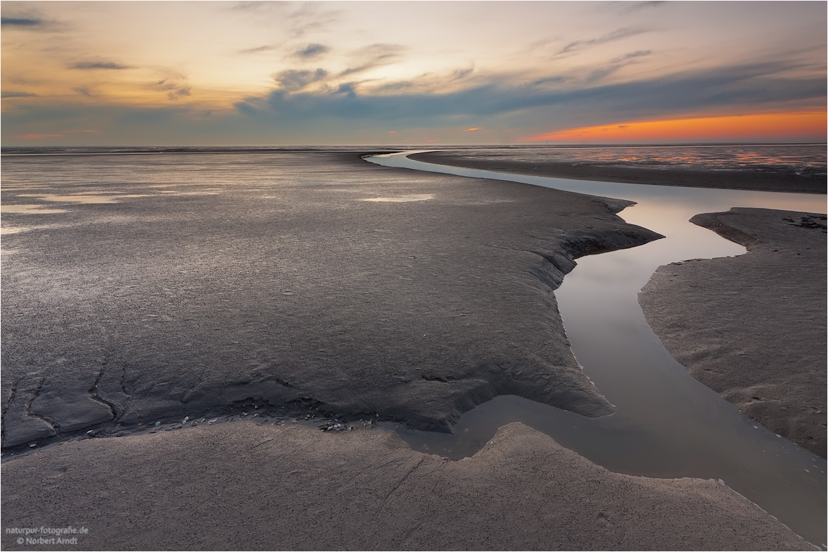 Wattenmeer (Forum für Naturfotografen)