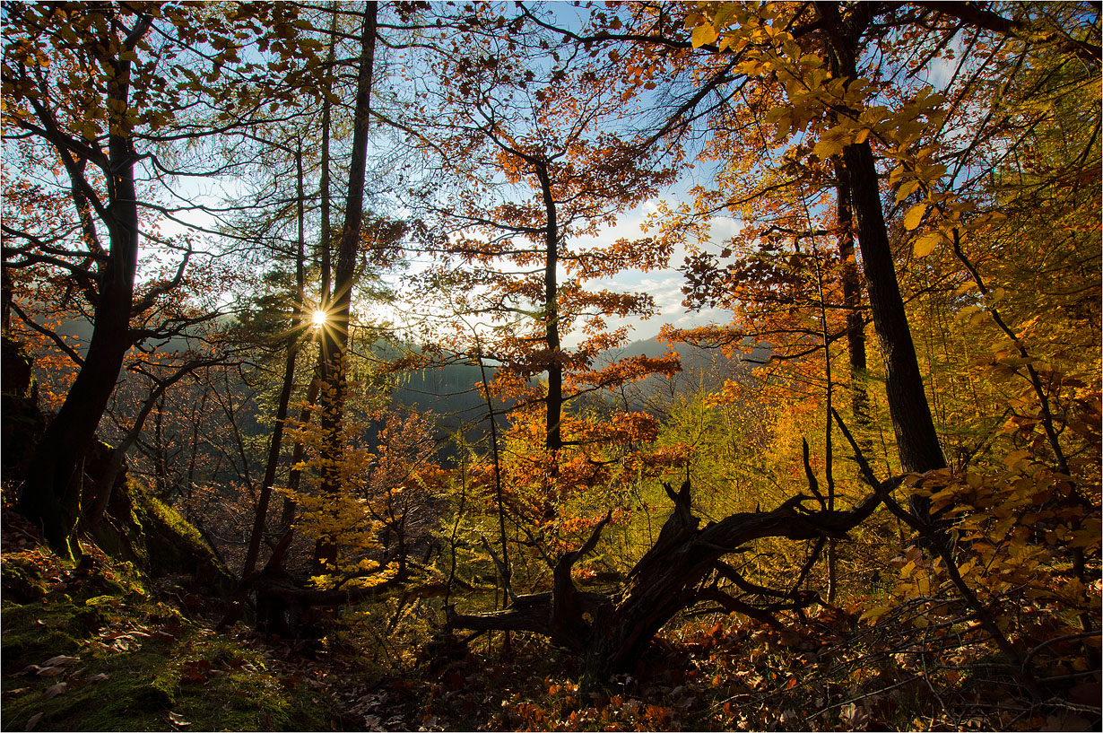 Herbst am Treppenstein