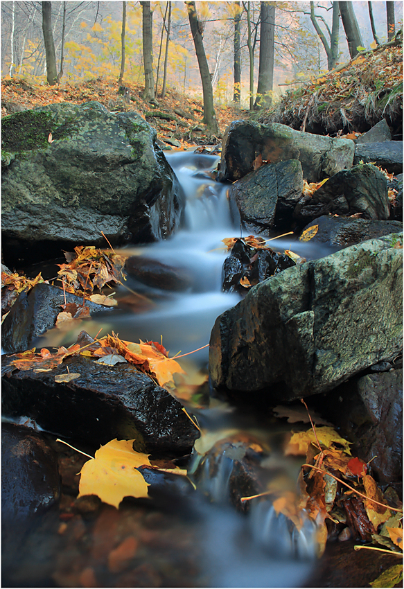 Herbst am Lockwitzbach