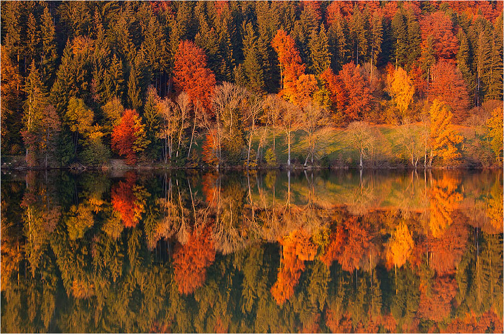 Sinfonie der Farben
