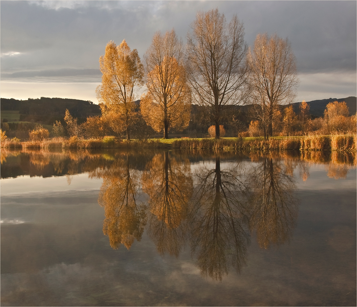 herbstimpression