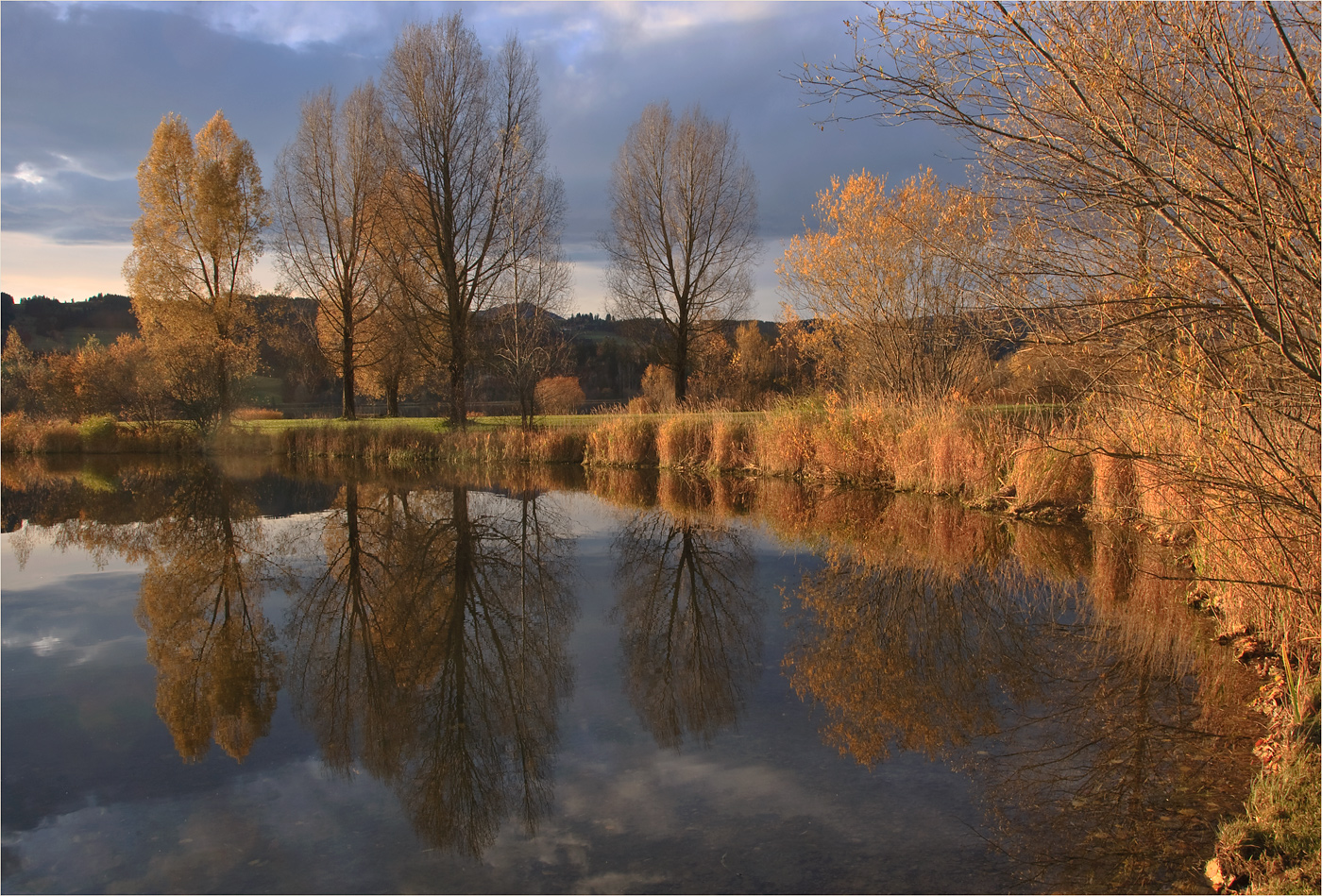 herbstimpression... II