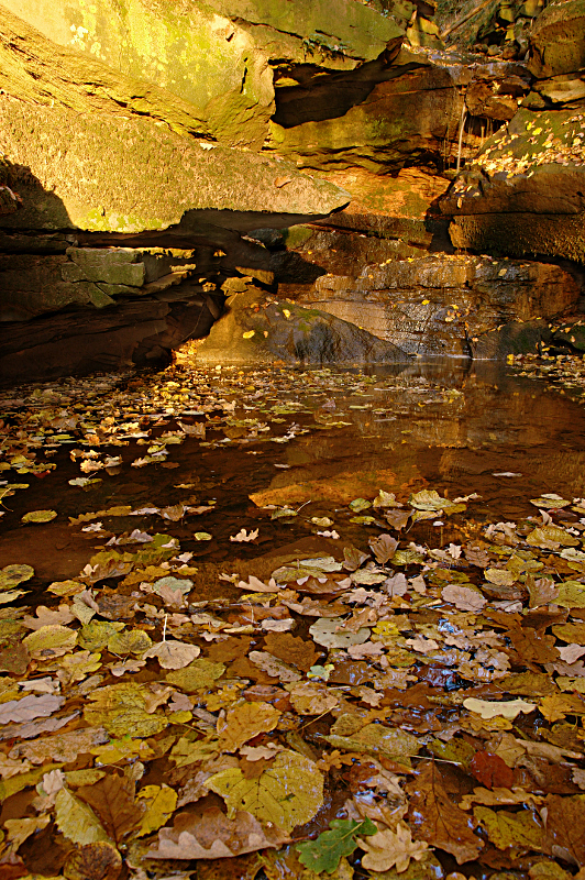 Weggespülter Herbst