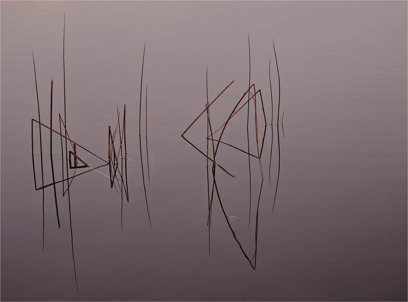 morgens am see
