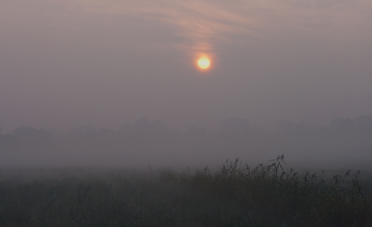 Novembermorgen