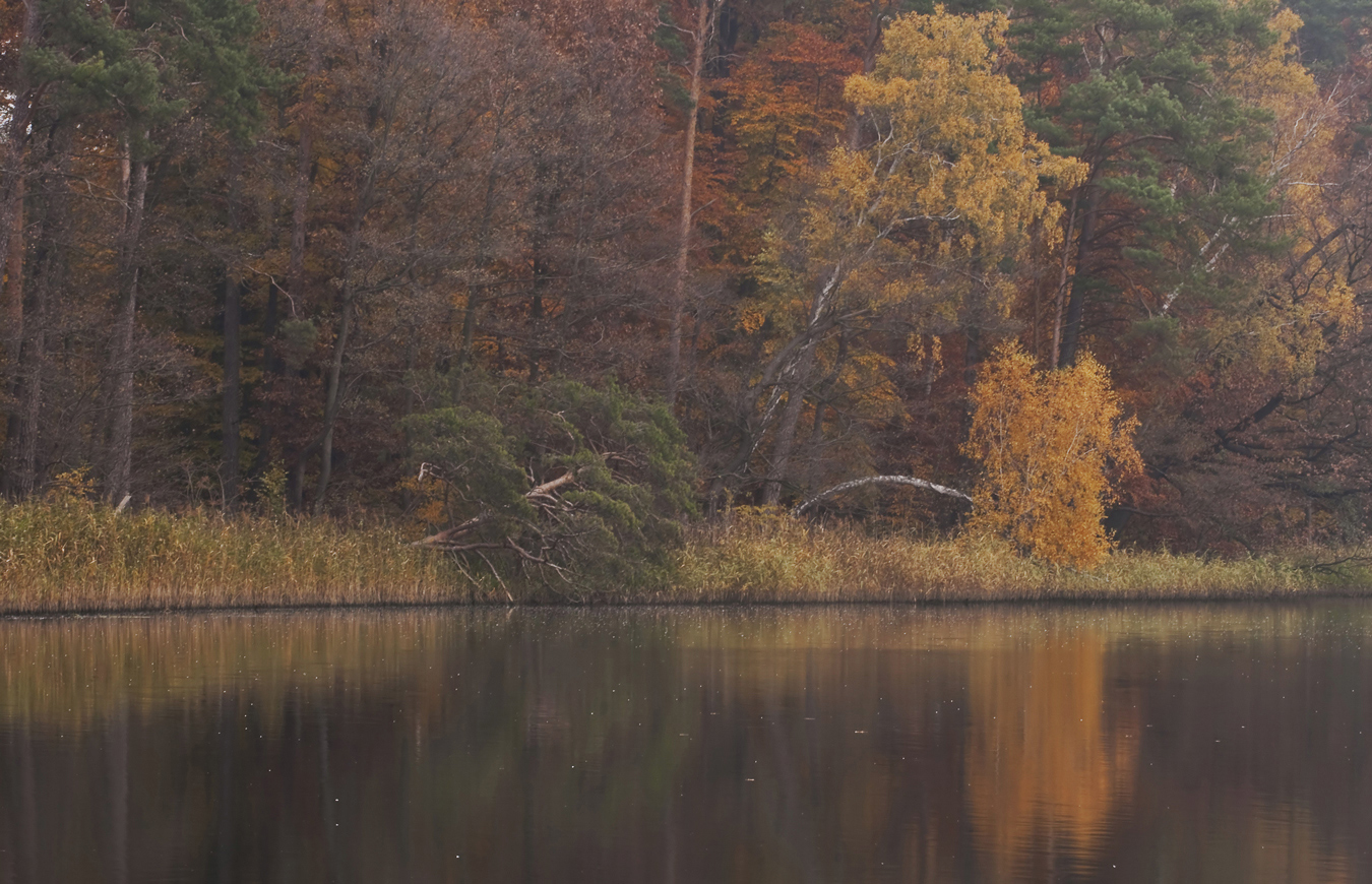 Herbst am Dovinsee...