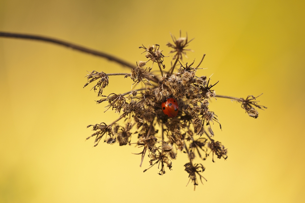 Gut versteckt