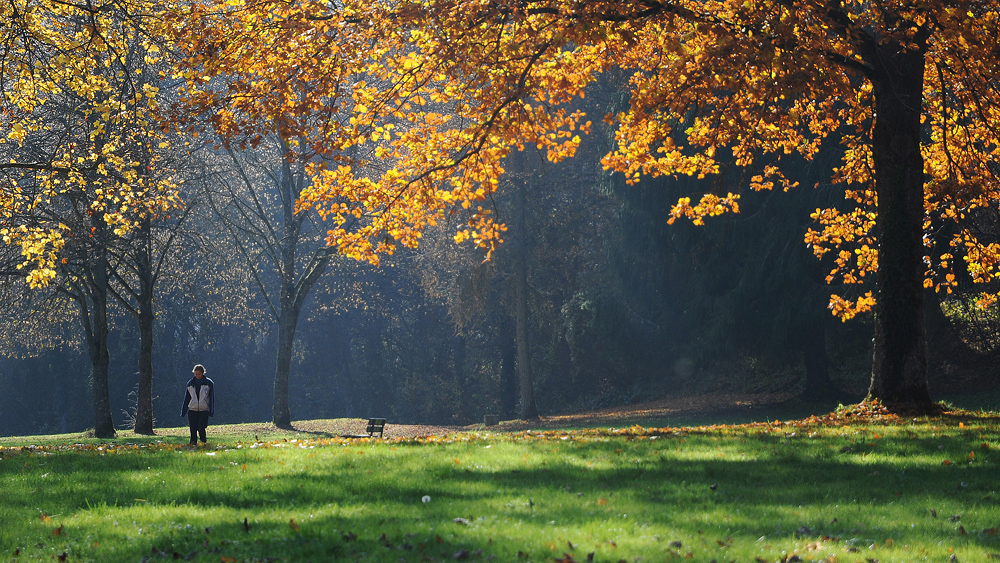 Herbstspaziergang