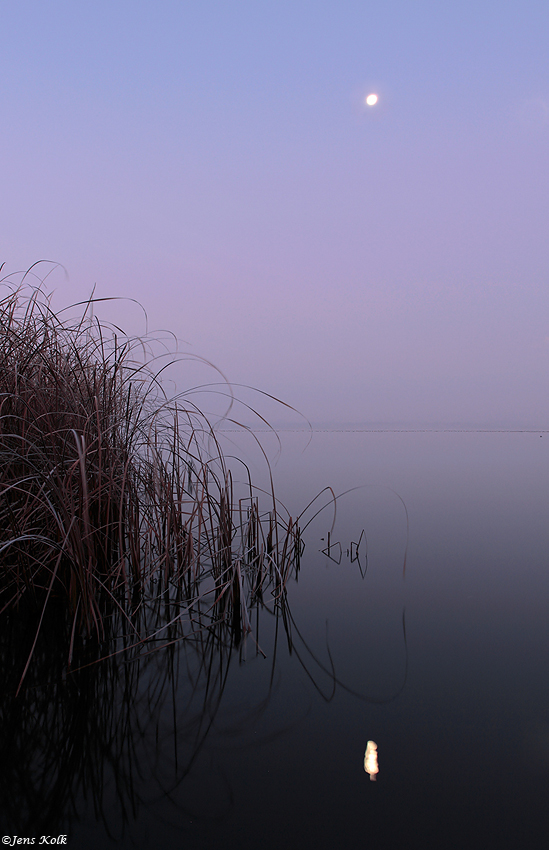 Blankensee