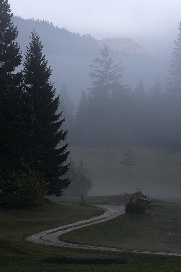 Morgendunst bei Klais