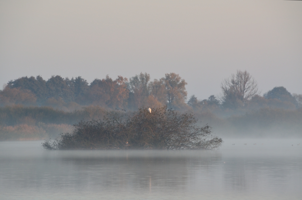 Frühnebel am See